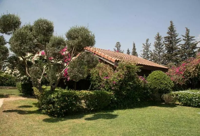 پانسیون Dar Zitouna Sousse Tunisie