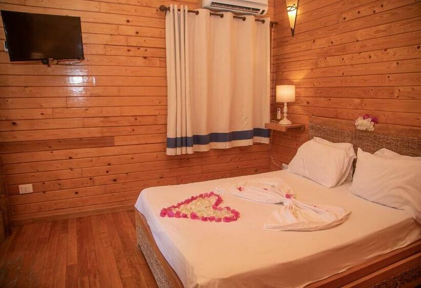 Pansiyon Dar Zitouna Sousse Tunisie