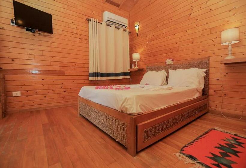 Pansiyon Dar Zitouna Sousse Tunisie