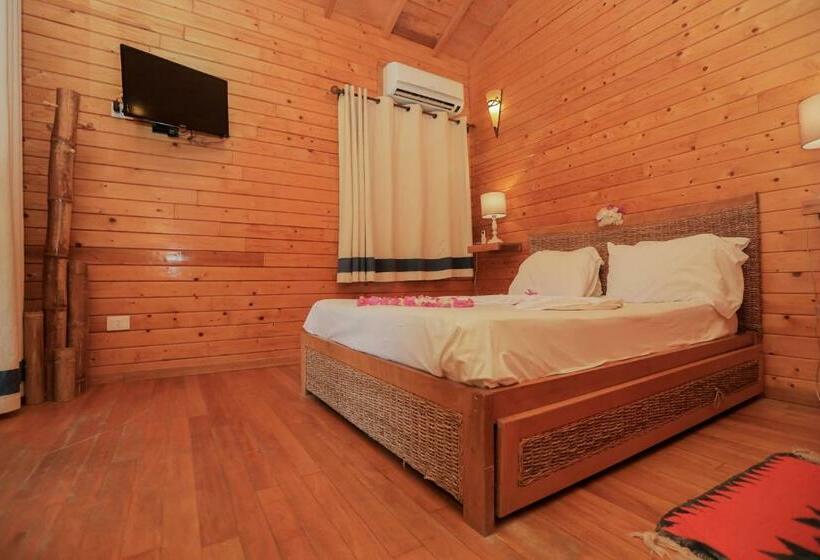 Pansiyon Dar Zitouna Sousse Tunisie