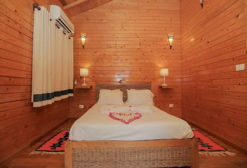 Pansiyon Dar Zitouna Sousse Tunisie