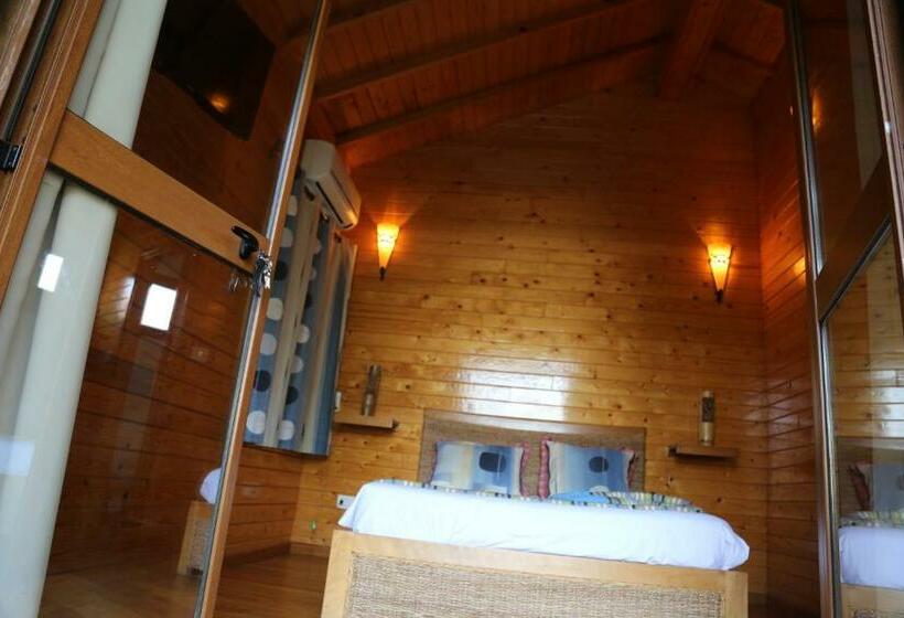 Pansiyon Dar Zitouna Sousse Tunisie