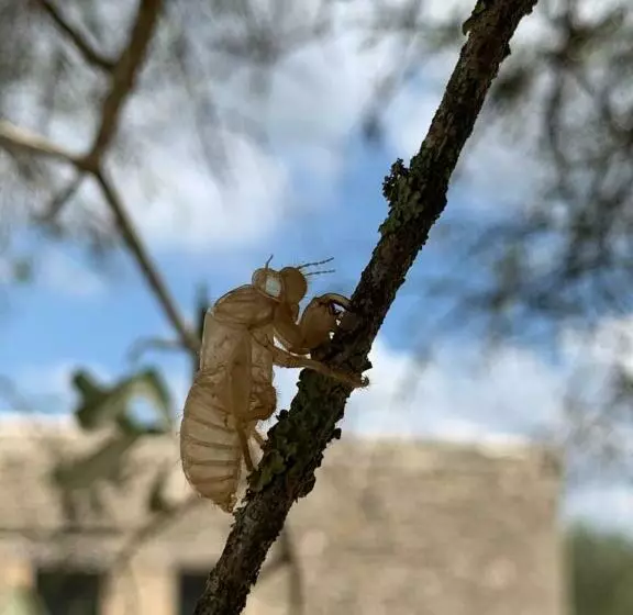 Mas Grenadine, Magnifique Villa Du Piémont Cévenol