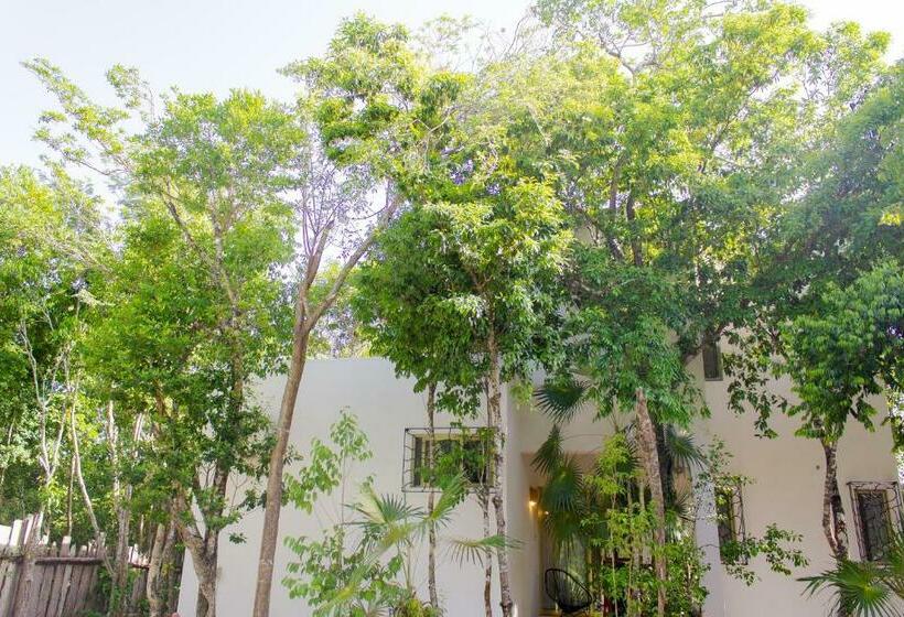 Buena Onda Residence