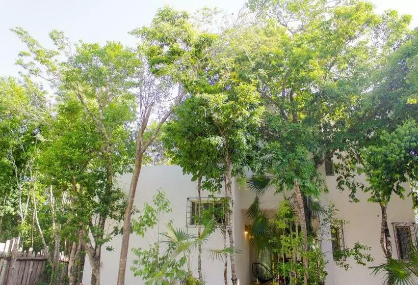 Buena Onda Residence