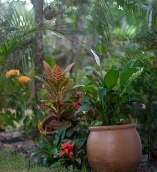 Casa Gungalilin Trancoso
