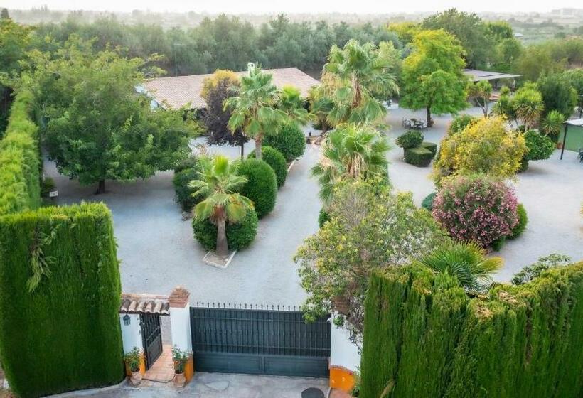 La Cuadra, Finca A Los Pies De Sierra Nevada, A 10 Minutos Del Centro, Piscina, Jardín, Barbacoa