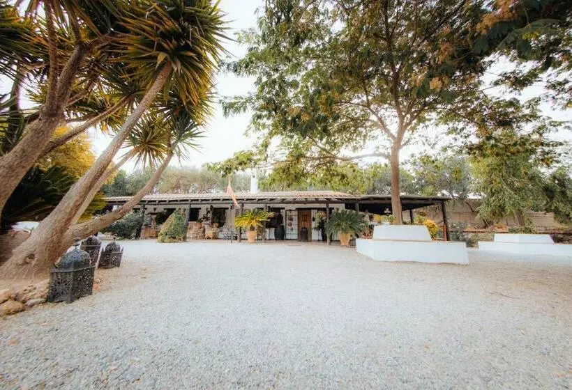 La Cuadra, Finca A Los Pies De Sierra Nevada, A 10 Minutos Del Centro, Piscina, Jardín, Barbacoa