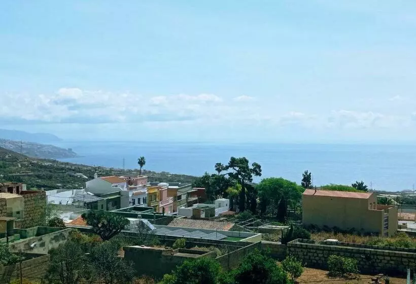 Live Arafo Las Palmeras Con Gran Terraza
