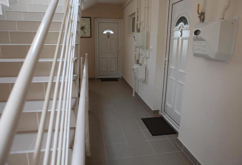 1000 Home Apartments