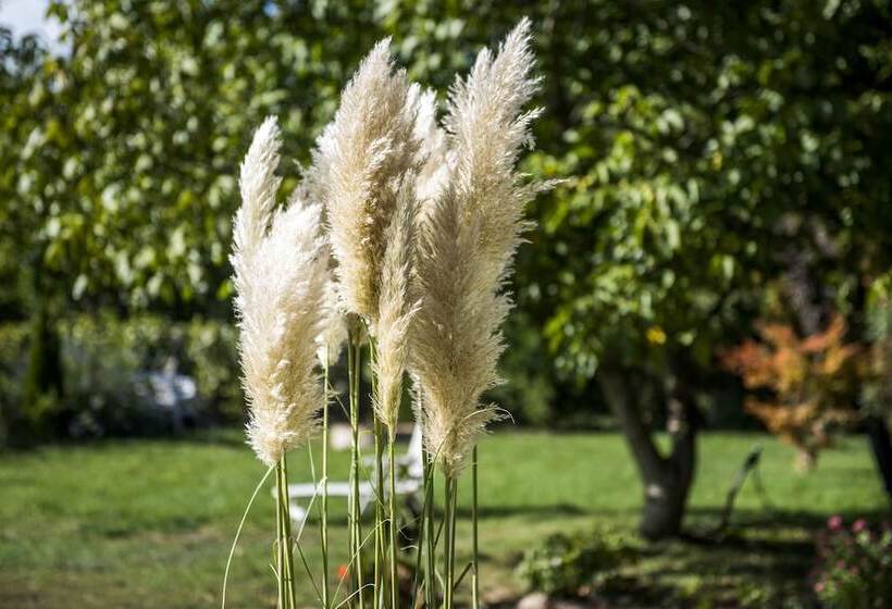 Feng Shui Wellness Apartmanház Hévíz