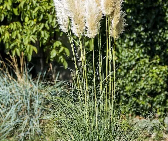 Feng Shui Wellness Apartmanház Hévíz