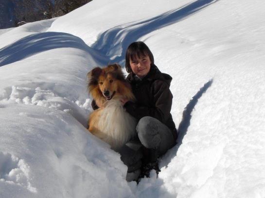 Bauernhof Moosbrugger