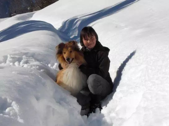 Bauernhof Moosbrugger