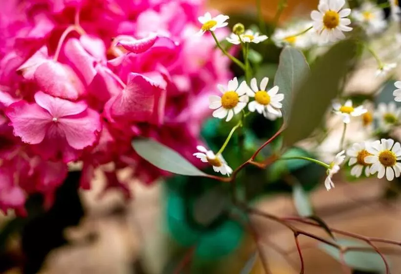 فندق Und Restaurant Haus Sajons