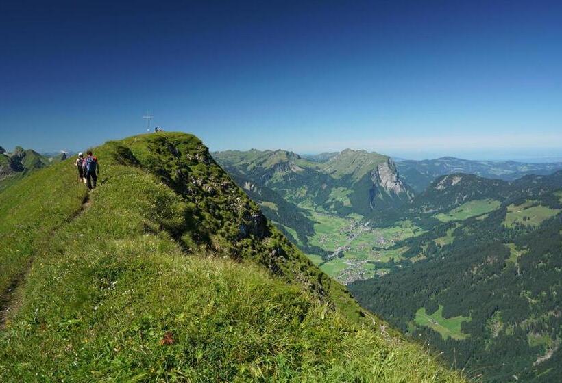 Отель Hirschen Wohlfühl