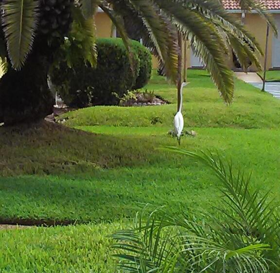 Отель Super Inn Daytona Beach