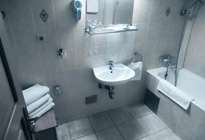 בית מלון כפרי Vienna