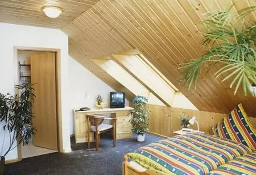 Пансион Gasthof Bergquelle