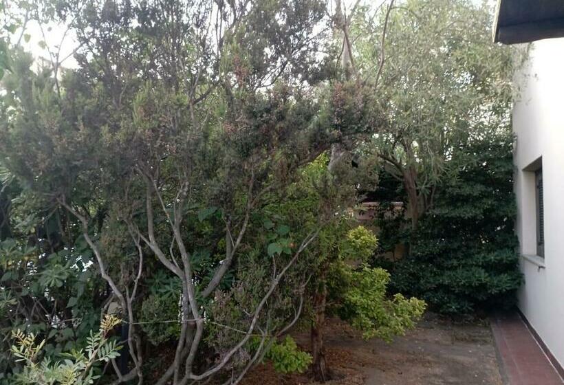 膳宿费 Domus Garden