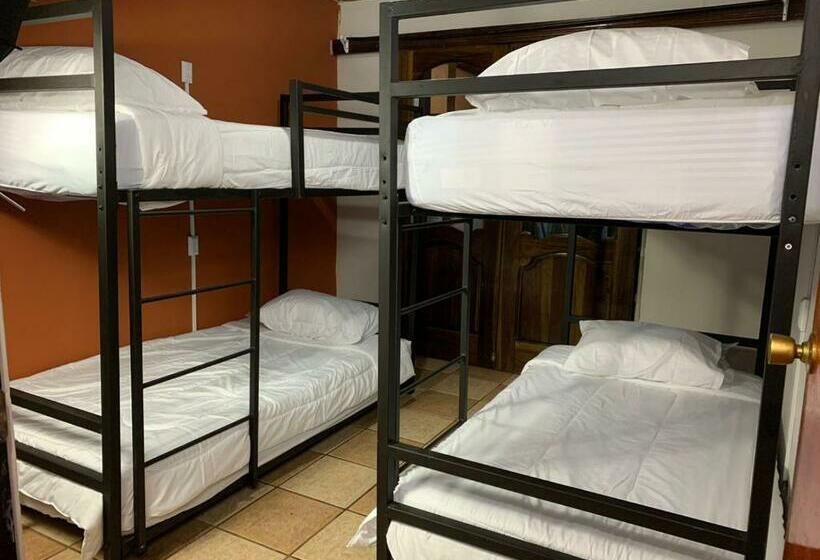 هاستل Gardens House, Airport Juan Santamaria, Alajuela, San Jose