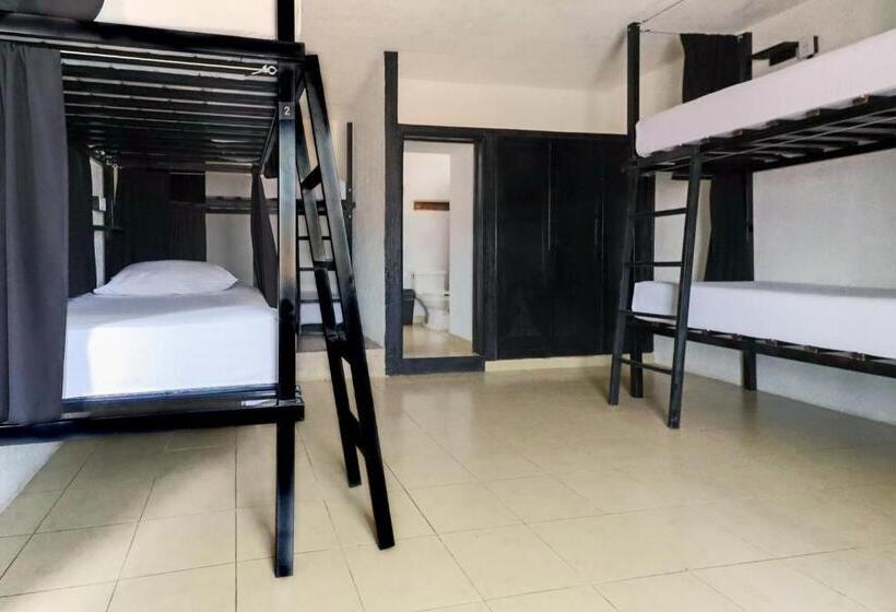 Hostel Oryx Valladolid