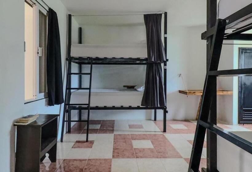 Hostel Oryx Valladolid