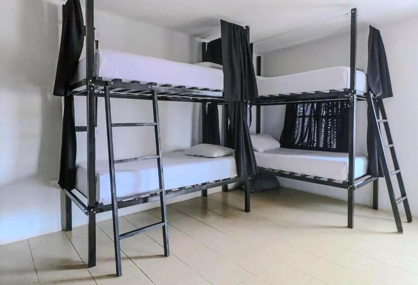 Hostel Oryx Valladolid