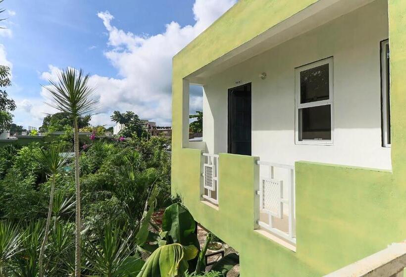 Hostel Oryx Valladolid