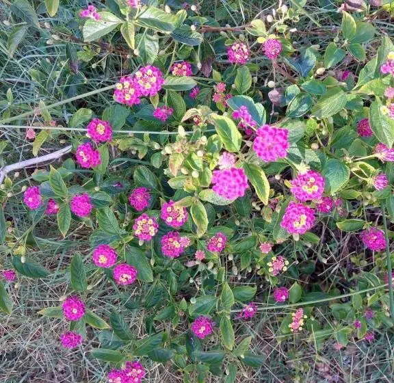 Hotelli Lugh E Luna Village