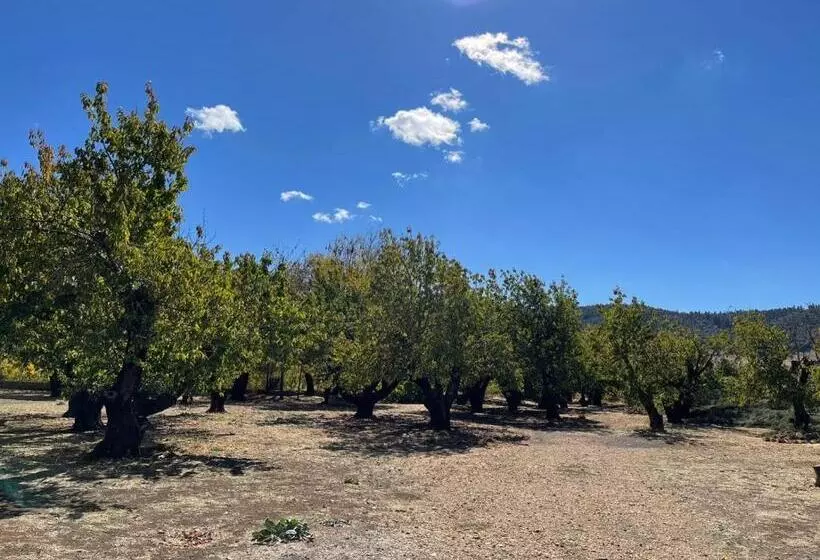 Retkeilymaja Gîte Camping Amazigh