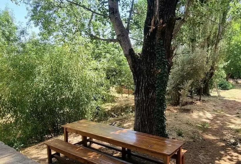 Retkeilymaja Gîte Camping Amazigh