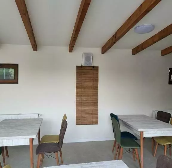 هتل Hanul Huniazilor