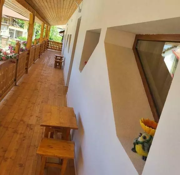 هتل Hanul Huniazilor