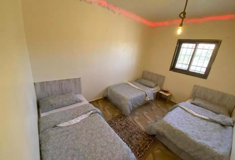 Nabati Hostel