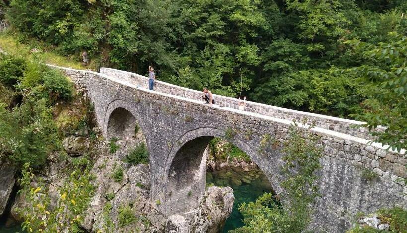 تختخواب و صبحانه Mostrooms