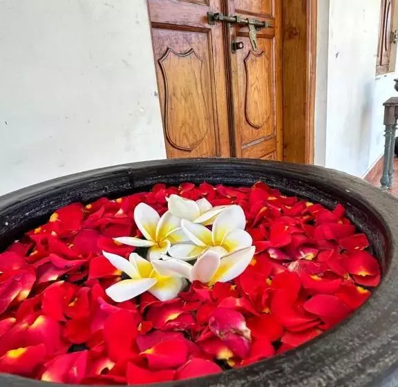Aamiaismajoitus (B&B) Santa Maria, Trivandrum   An Airport Boutique By The Sea