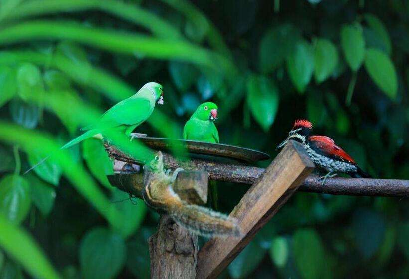 Hotel C B S Resort Udawalawe