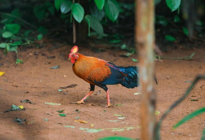 Hotel C B S Resort Udawalawe