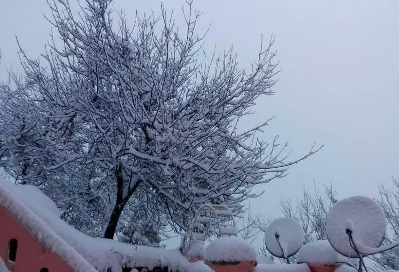 Hotel Himashray
