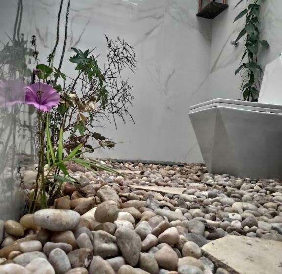 膳宿费 Anacardium