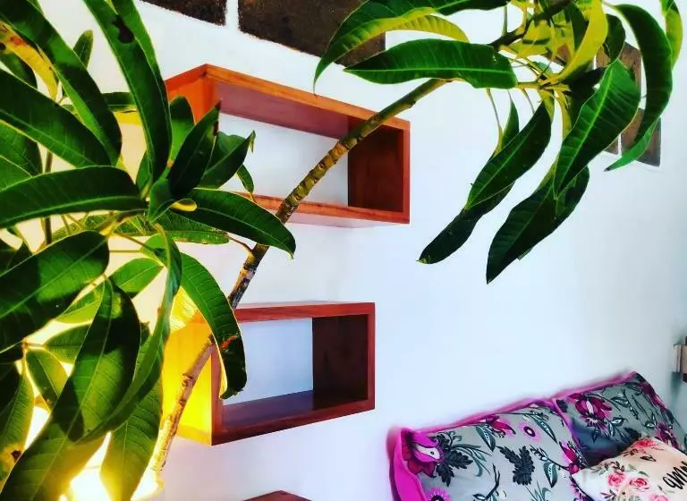 ペンション Anacardium