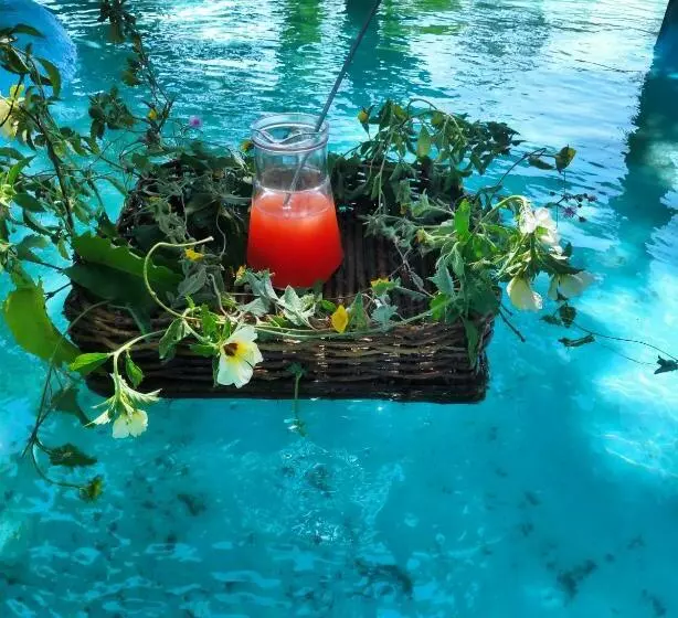 ペンション Anacardium