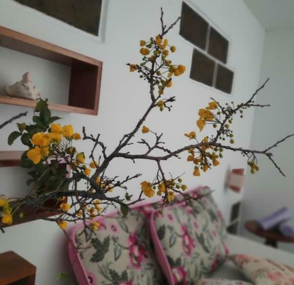 膳宿费 Anacardium