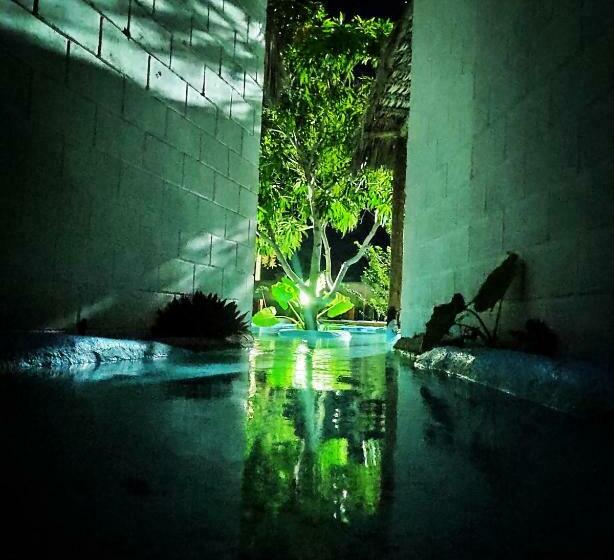 膳宿费 Anacardium