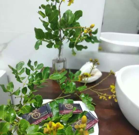 ペンション Anacardium