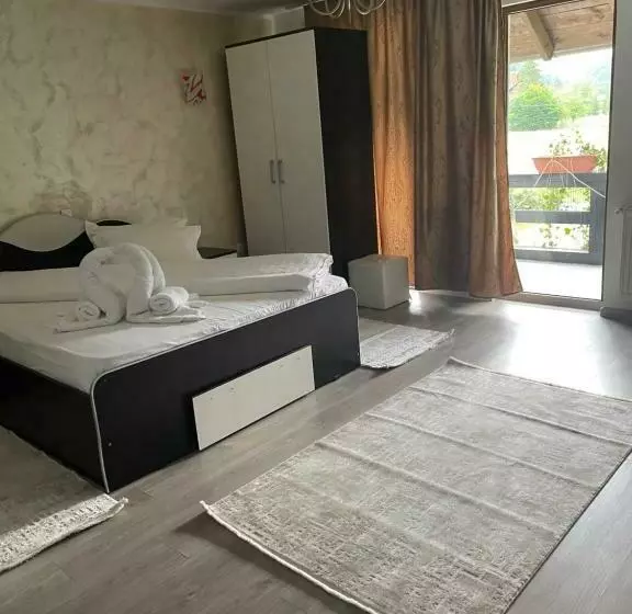 ペンション Casa Voronet