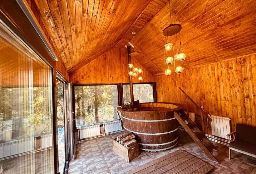ペンション Casa Voronet