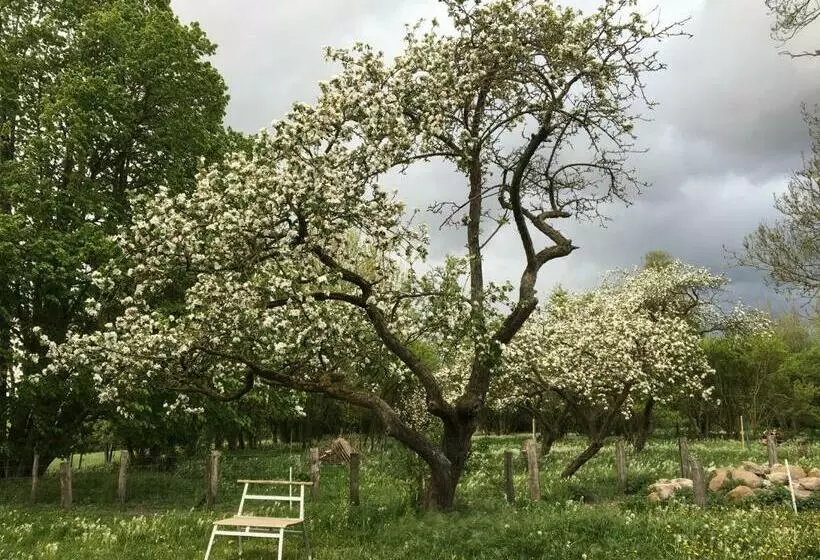 Majatalo Pasterhof Eichhorst