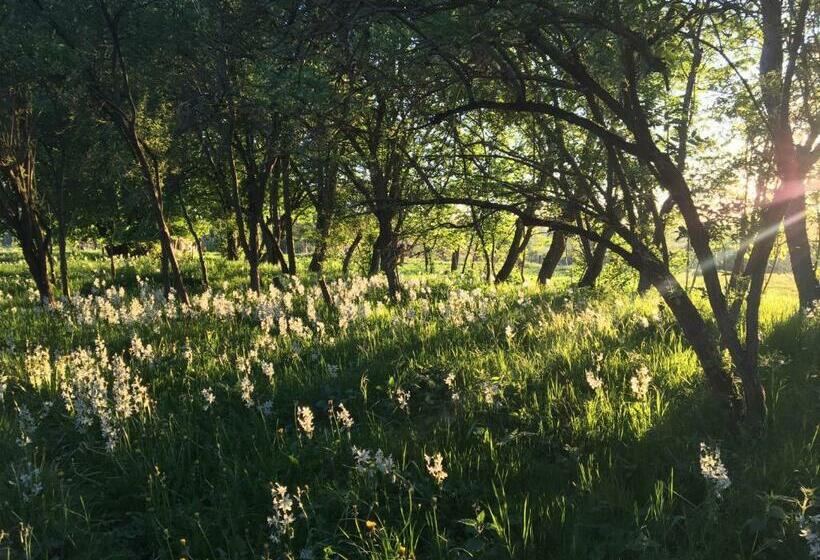 ペンション Pasterhof Eichhorst